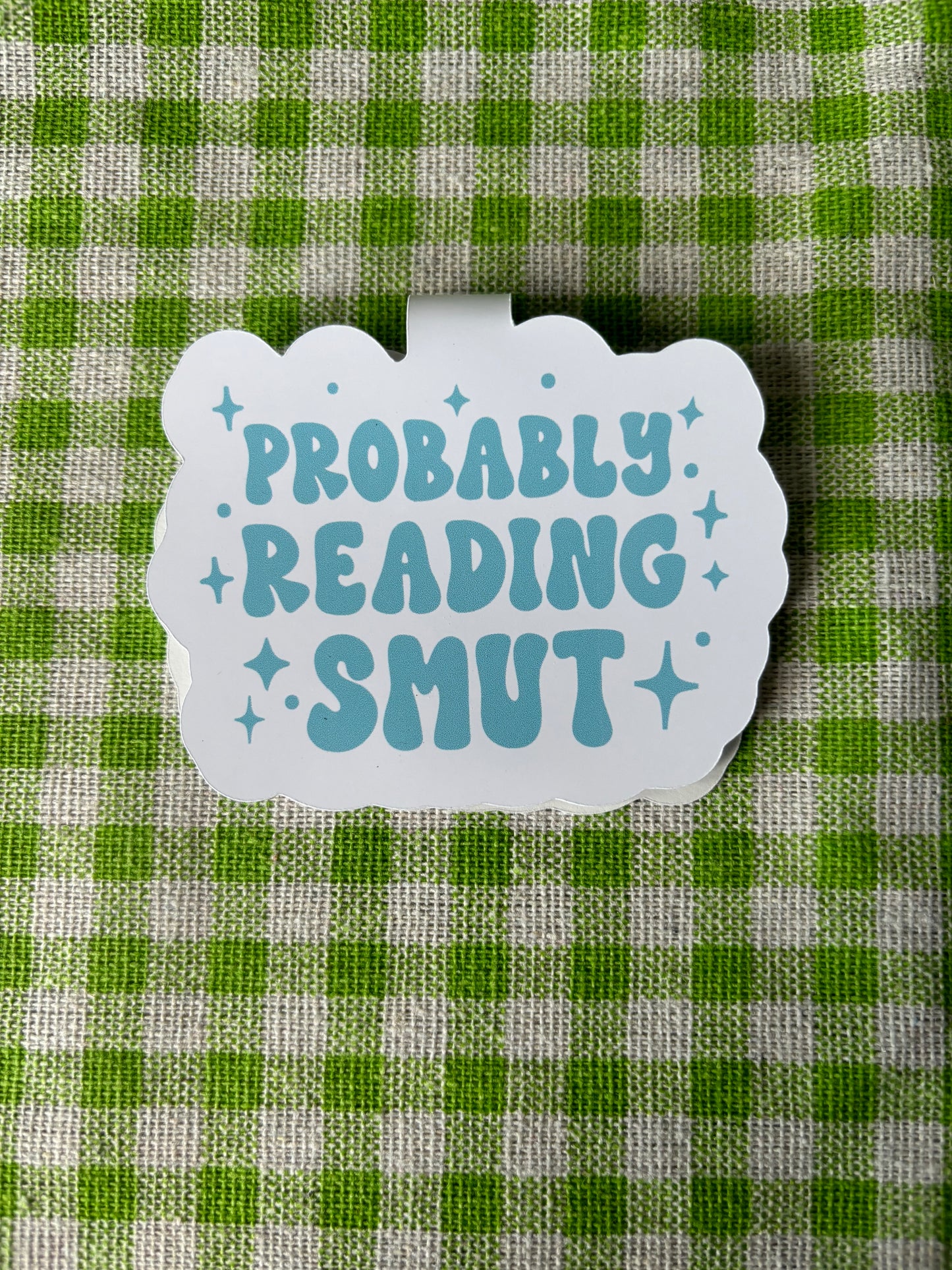 Probably Reading Smut Magnetic Bookmark