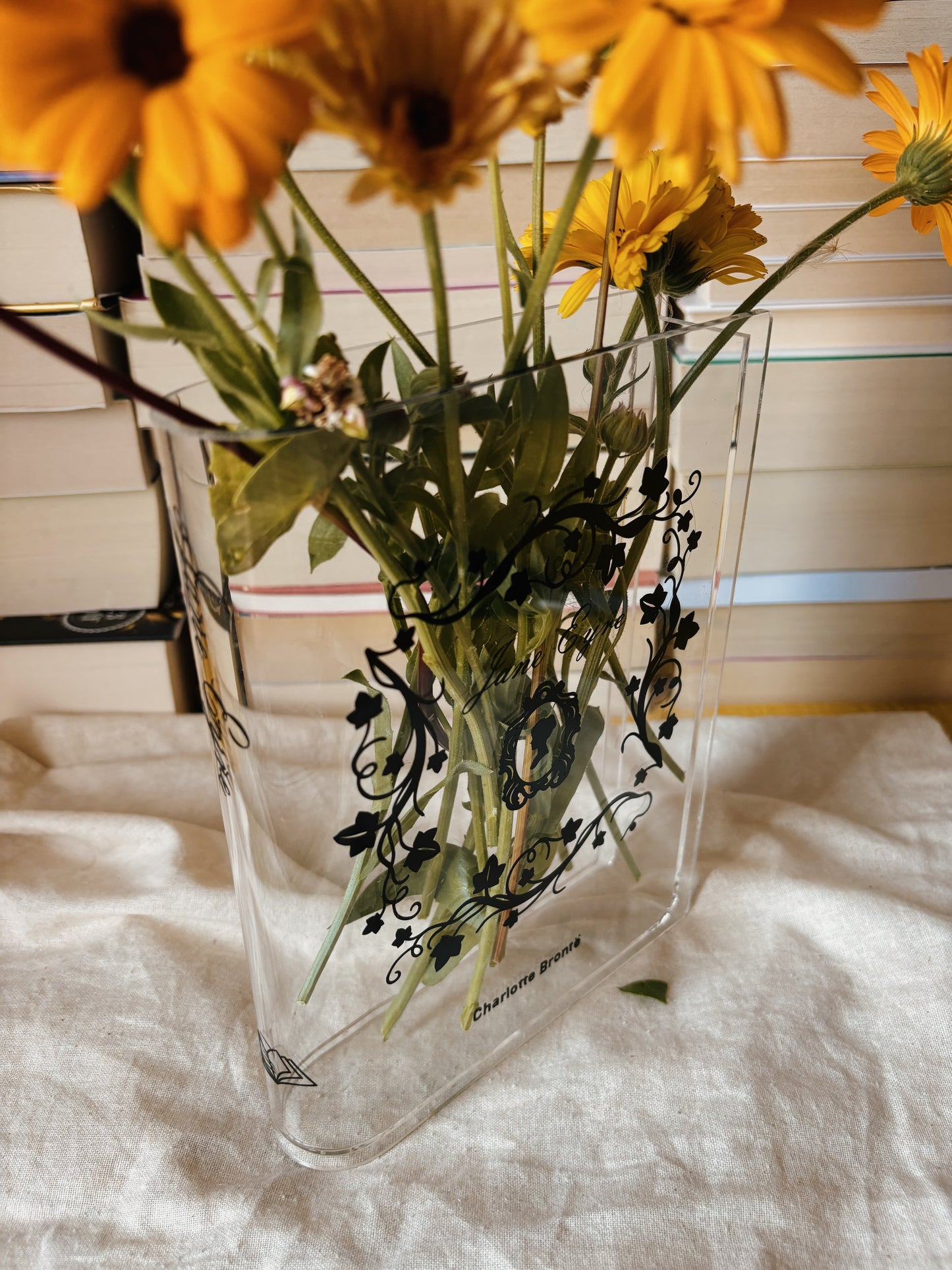 Jane Eyre Bookvase